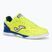 Scarpe da calcio Joma Top Flex Rebound IN da uomo giallo/royal