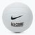 Nike All Court pallavolo bianco / bianco / nero dimensioni 5