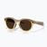 Occhiali con telecamera Oakley Meta HSTN light curry/transitions brown