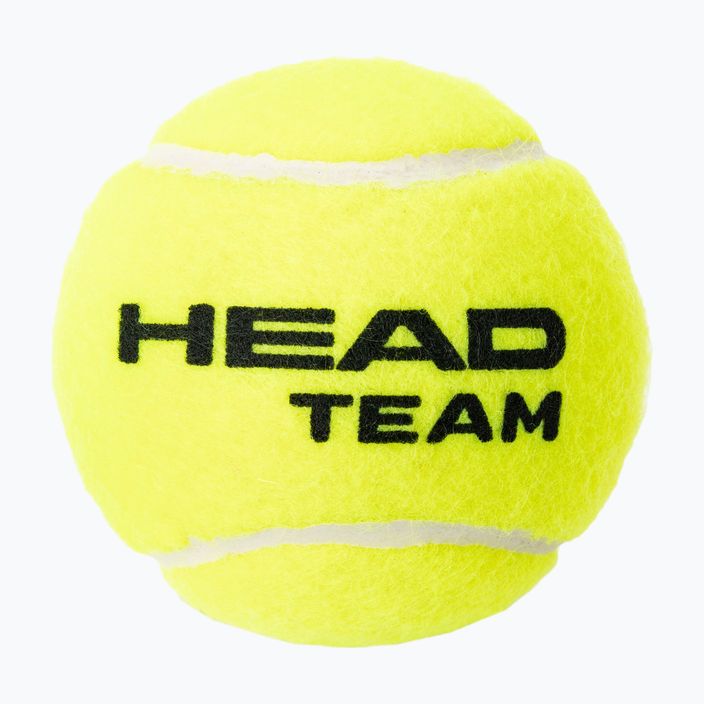 Palline da tennis HEAD Team 4 pz. giallo 2