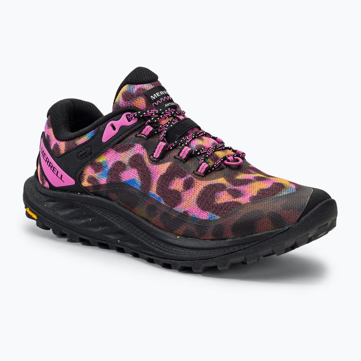 Merrell Antora 3 Leopard arcobaleno/leopardato scarpe da corsa da donna