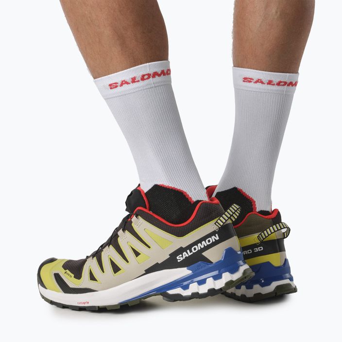 Salomon XA Pro 3D V9 GTX scarpe da corsa uomo nero/burro /lapis 5