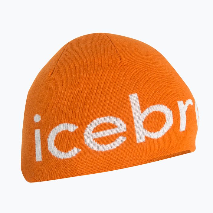 Icebreaker Merino berretto invernale terra/ecrù hthr 6