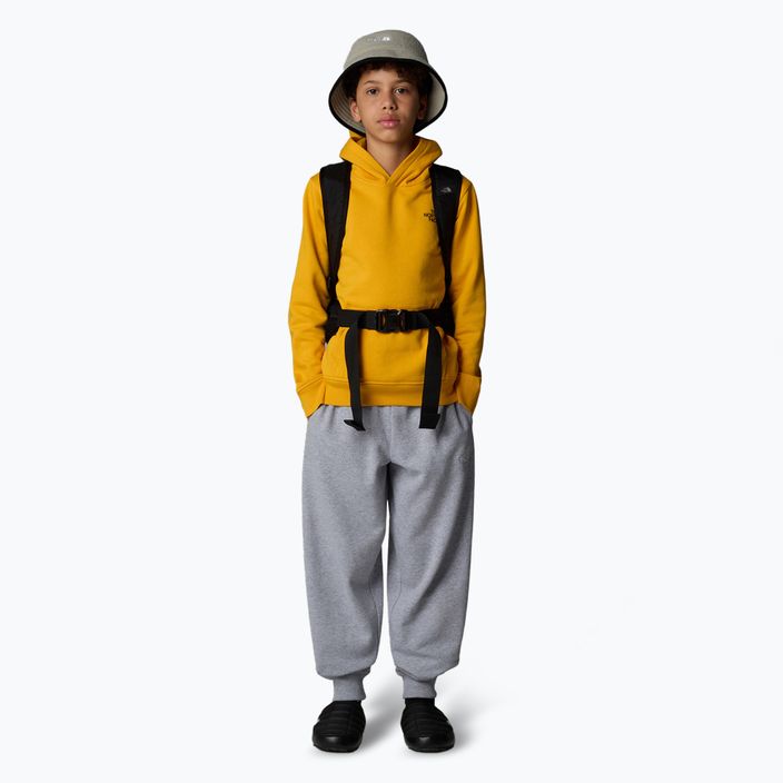 Felpa da bambino The North Face Teen Redbox Regular P/O summit gold 2