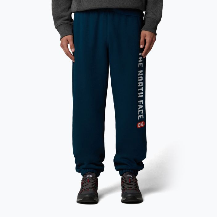 Pantaloni da uomo The North Face Varsity Graphic midnight petrol