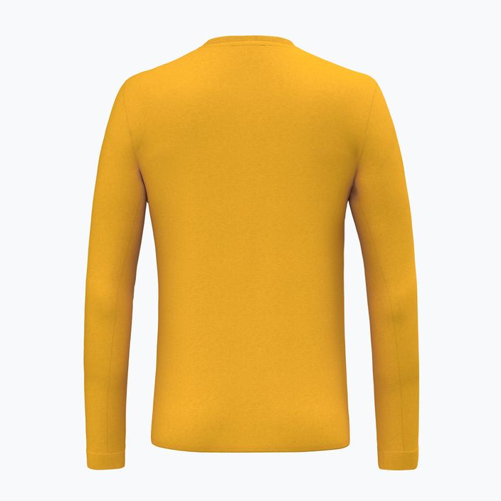 Salewa Solidlogo Dry gold trekking longsleeve da uomo 2