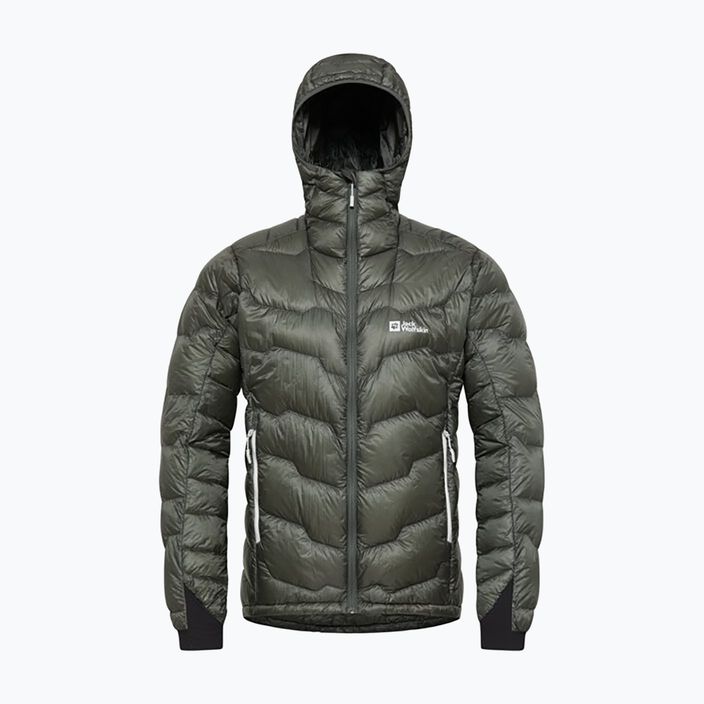 Jack Wolfskin Uomo Alpspitze Down Hoody verde ardesia 10