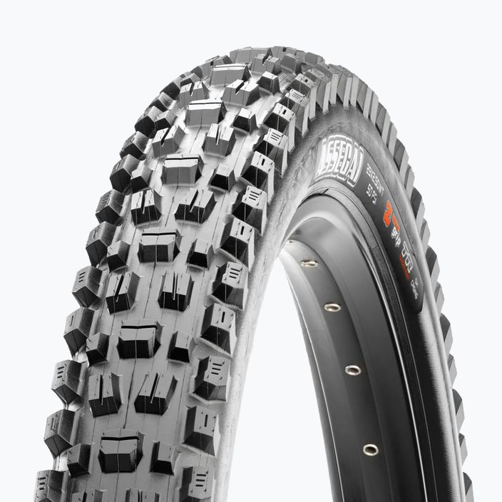 Pneumatico per bicicletta Maxxis Assegai Kevlar Wt 3Cg/Dd/Tr