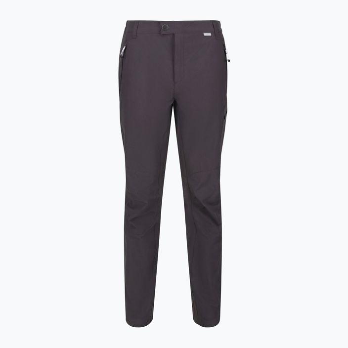 Pantaloni da trekking da uomo REGATTA Highton grigio foca 6