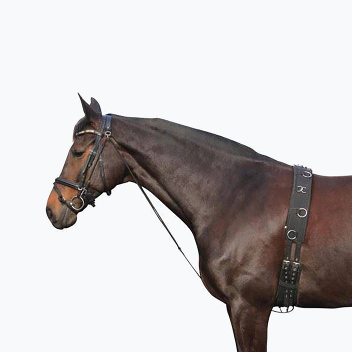 Cavallo York chambone 180202 nero