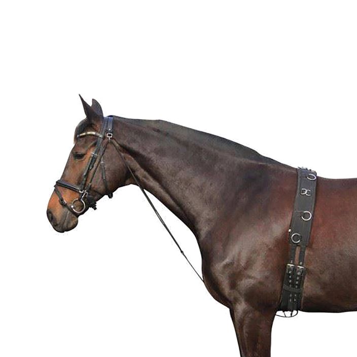 Cavallo York chambone 180202 nero 2