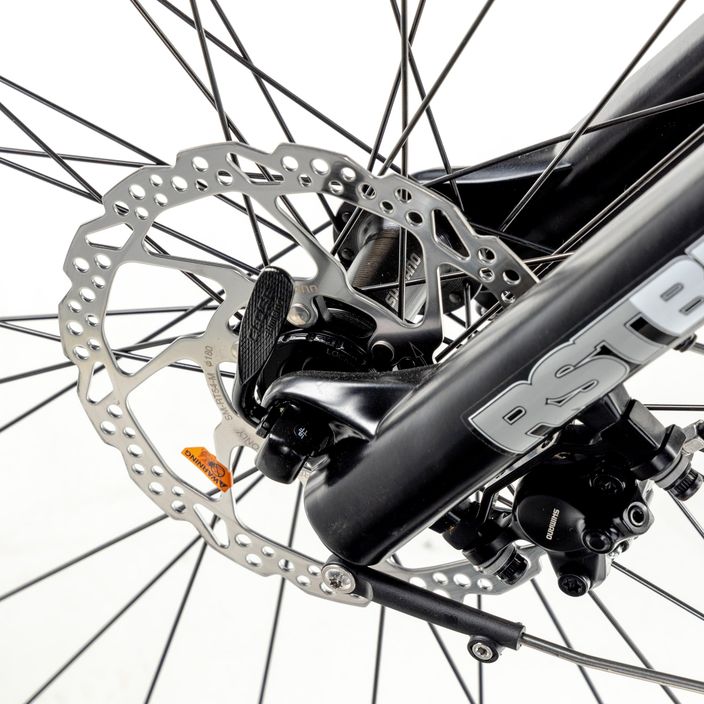 Bicicletta elettrica EcoBike MX300 48V 10,4Ah 499,2Wh X300 Greenway nero 17
