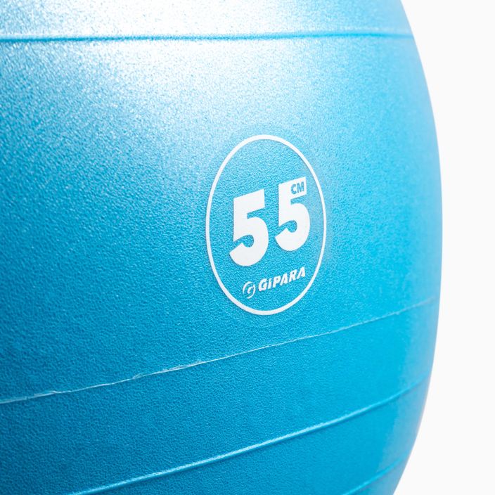 Palla da ginnastica Gipara Fitness 3001 55 cm blu 2
