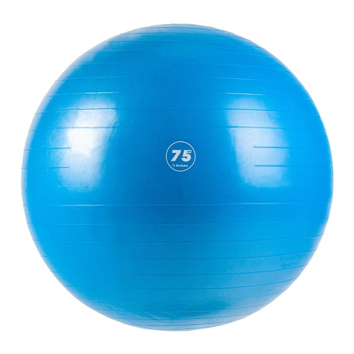 Palla da ginnastica Gipara Fitness 3007 75 cm blu 2