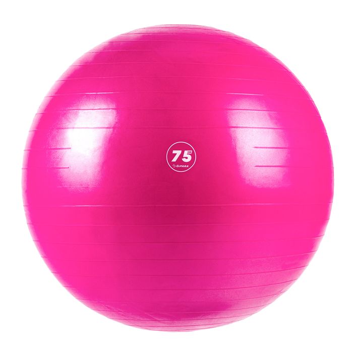 Palla fitness Gipara 3008 75 cm rosa