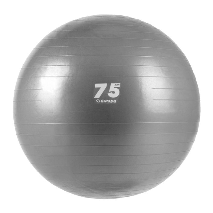 Palla da ginnastica Gipara Fitness 3143 75 cm grigio