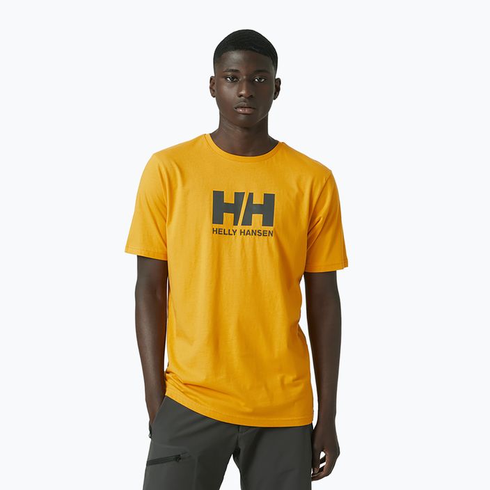 Camicia da trekking Helly Hansen HH Logo cloudberry da uomo