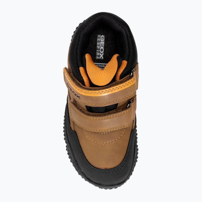Geox Baltic Abx tabacco/arancione scarpe da bambino 6