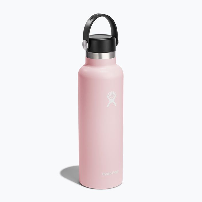 Bottiglia da viaggio Hydro Flask Standard Flex 620 ml trillium 2