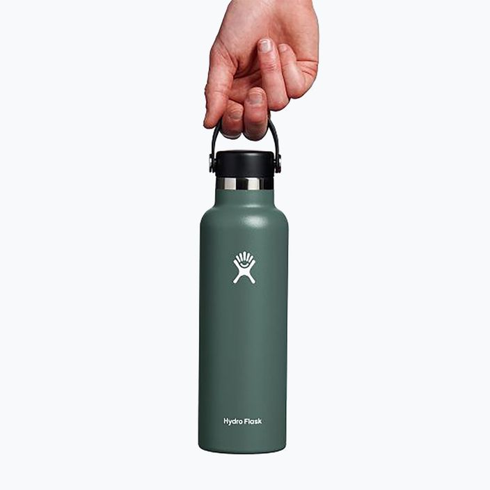 Bottiglia turistica Hydro Flask Standard Flex 620 ml abete 4