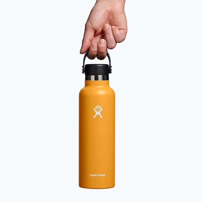 Bottiglia da viaggio Hydro Flask Standard Flex 620 ml fossil 3