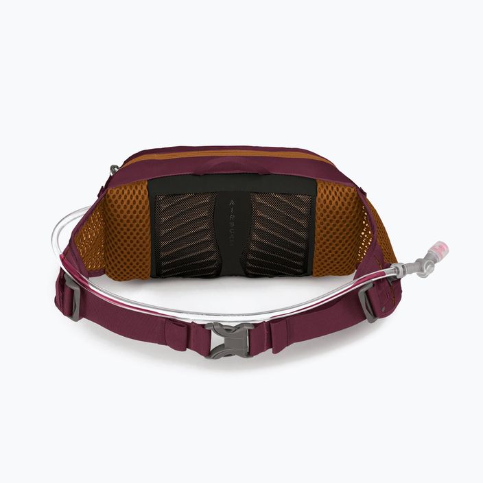 Osprey Seral 4 l aprium purple bicycle briefcase 8