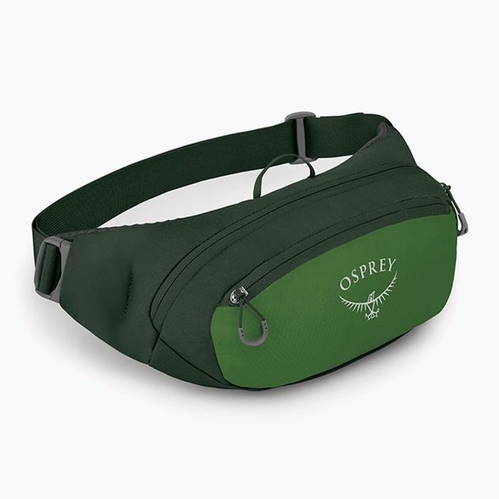 Marsupio Osprey Daylite Waist 2 l verde bely/verde canopy 2