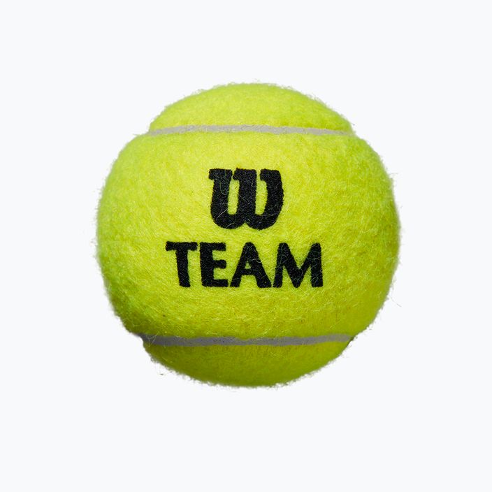 Palline da tennis Wilson Team Practice 4 pezzi giallo WRT111900 2