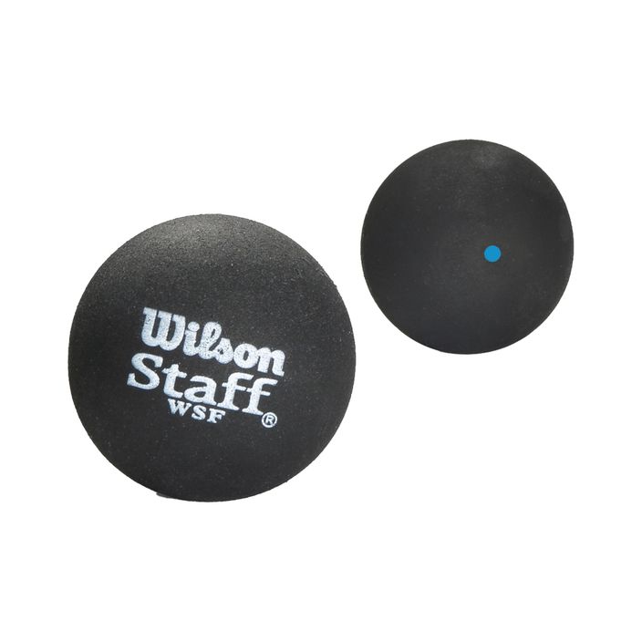 Palline da squash Wilson Staff 2 Ball Blue Dot 2 pezzi nero WRT617500+ 2