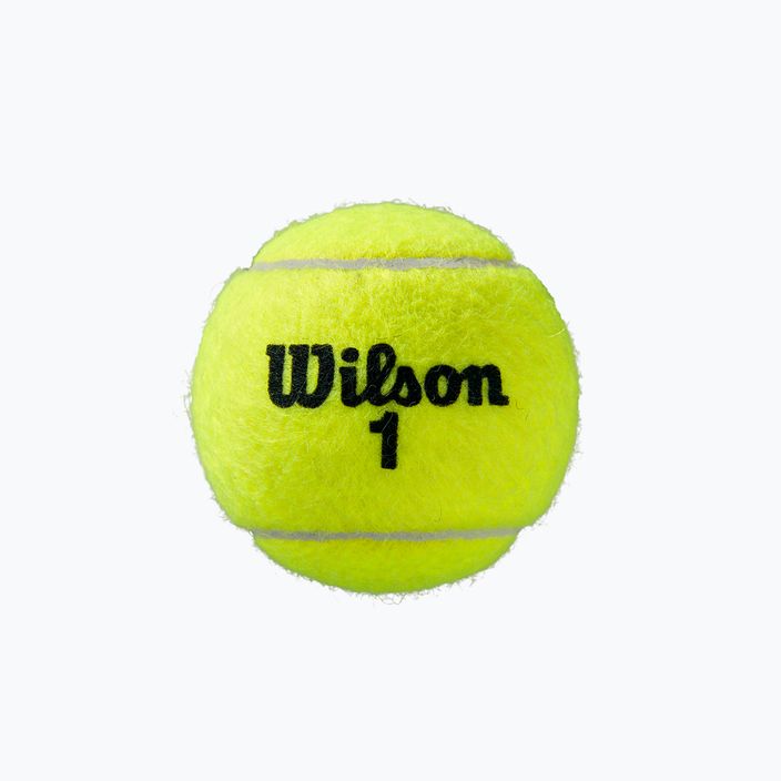 Palline da tennis Wilson Roland Garros Clay Ct 3 pezzi giallo WRT125000 3