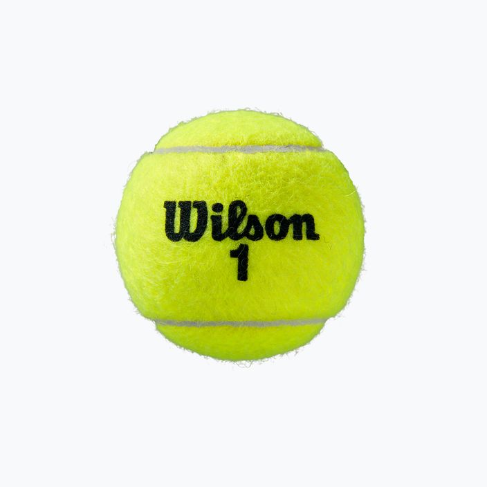 Palline da tennis Wilson Roland Garros All Ct 3 pezzi giallo WRT126400 2