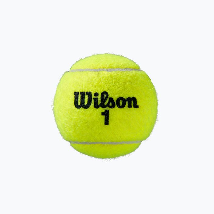 Palline da tennis Wilson Roland Garros Clay Ct 4 pezzi giallo WRT115000 3