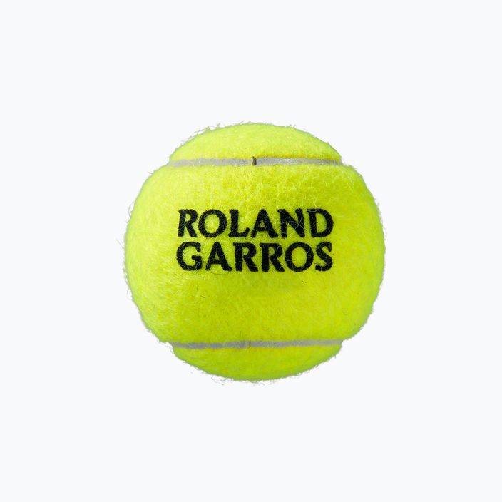 Palline da tennis Wilson Roland Garros Clay Ct 4 pezzi giallo WRT115000 4