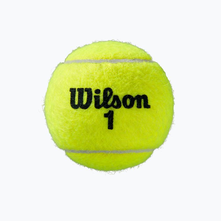 Palline da tennis Wilson Roland Garros All Ct 4 Ball 2Pk 8 pezzi giallo WRT116402 4