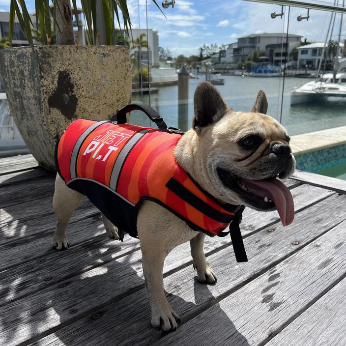 Jetpilot Gilet di sicurezza per cani PFD rosso 2