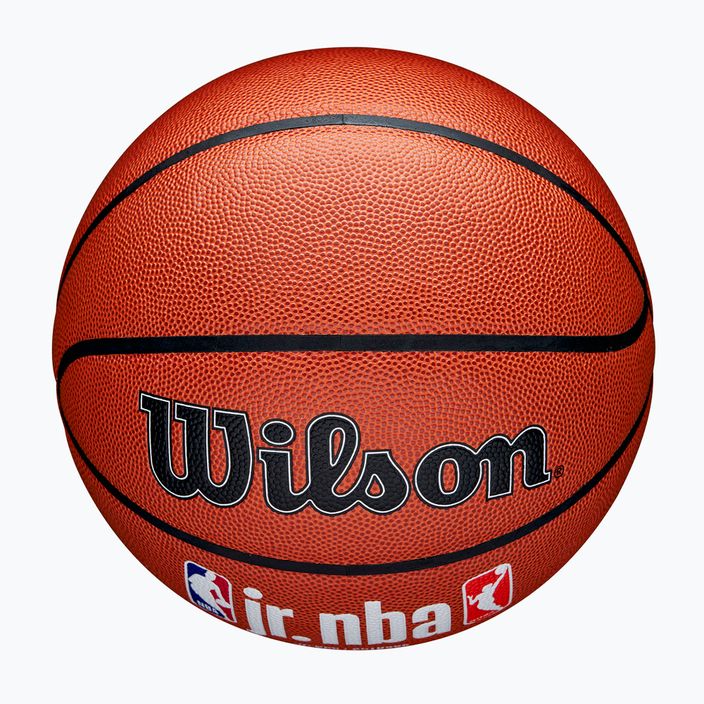Wilson NBA JR Fam Logo basket Indoor outdoor marrone taglia 6 4