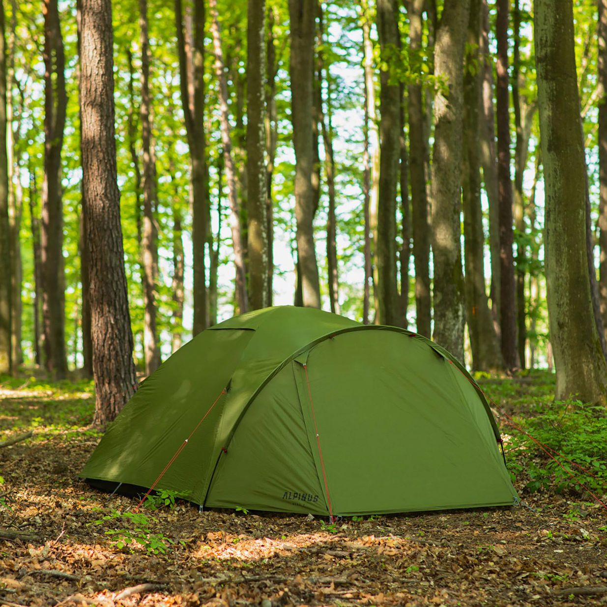 Tenda Alpinus Reus 4 per 4 persone verde 9