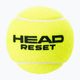 Palline da tennis HEAD 4B Reset 6DZ 4 pz. 2