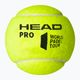 Palle da paddle HEAD 3B HEAD Pro 3 pz. 4
