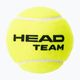 Palline da tennis HEAD Team 4 pz. giallo 2