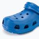 Crocs Classic Kids Clog infradito in cobalto brillante 8