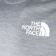 Maglietta da trekking da uomo The North Face MA grigio chiaro hthr/nero 9