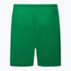 Pantaloncini da calcio Nike Dri-Fit Park III Knit Uomo verde pino/bianco 2