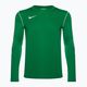 Uomo Nike Dri-FIT Park 20 Crew verde pino/bianco calcio a maniche lunghe