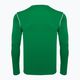 Uomo Nike Dri-FIT Park 20 Crew verde pino/bianco calcio a maniche lunghe 2