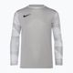 Maglietta da portiere Nike Dri-FIT Park IV Bambino grigio peltro/bianco/nero