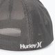 Cappello da baseball Hurley Icon Textures light bone da uomo 4