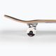 Globe G1 classic skateboard Inside out alone together 5