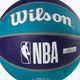 Wilson NBA Team Tribute Charlotte Hornets mare basket dimensioni 7 3