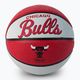 Pallacanestro per bambini Wilson NBA Team Retro Mini Chicago Bulls rosso taglia 3